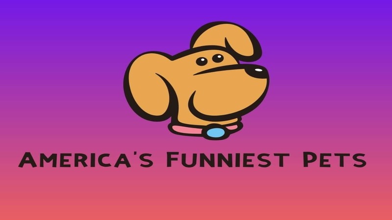 America\'s Funniest Pets